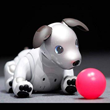 Aibo Dog