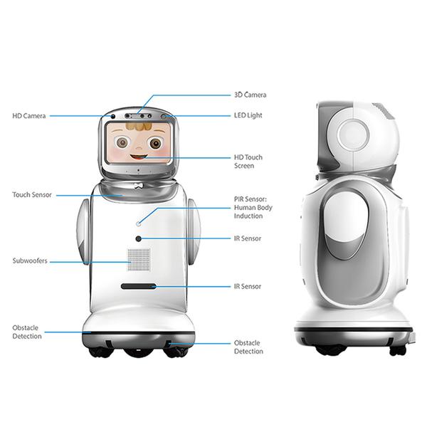 Sanbot Nano Specs