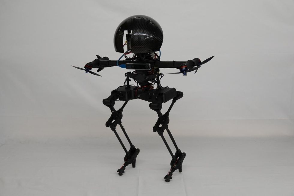 Caltech LEO Robot